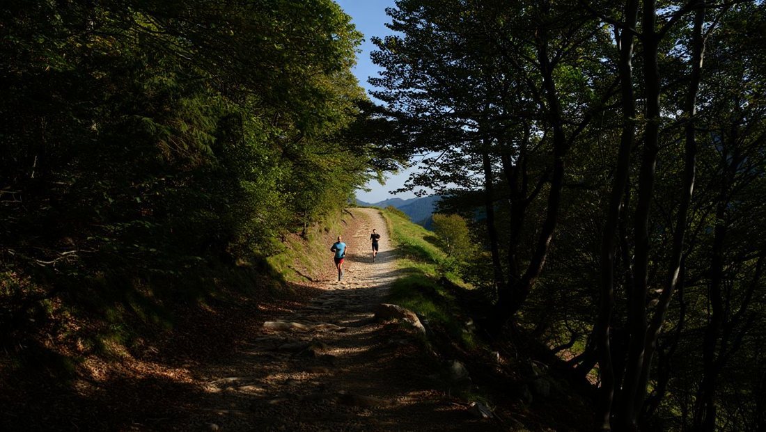 Deux coureurs sur un sentier de montagne illustrant les différences entre trail court et trail long